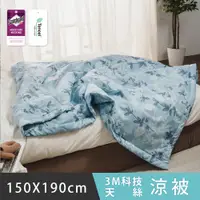 在飛比找PChome24h購物優惠-日和賞 MIT 3M科技天絲 涼被【晚風】150×190cm