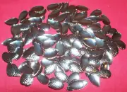170 Fishing Lure Spoons 1 ¼” Hammered Silver Metal Jig Bait Spinner Blade Making