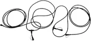 Beacon Lighting Lucci Connect Gecko 3 Light 10m 5 Pin Wiring Kit