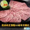 【愛上吃肉】熊本和王頂級A5和牛火鍋片3盒組(100g±10%/盒)