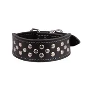 BEAU Pets Leather Whippet Studded Collar - 40cm / Cognac