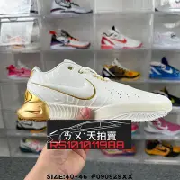 在飛比找Yahoo!奇摩拍賣優惠-Nike LeBron 21 XXI 白色 白 白金 GOL