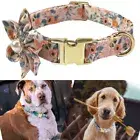 Personalised Customized Leash Flower ID Engraved Dog Collar Cat