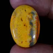 23.50 Ct 100% NATURAL BUMBLE BEE JASPER CABOCHON GEMSTONE FOR JEWELRY SUPPLY