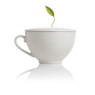 Tea Forte 白瓷咖啡杯 Café Cup