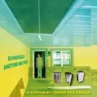 DJ MARCELLE / ANOTHE - A DIFFERENT FRIDGE FOR CHEESE - New Vinyl Rec - F11501z