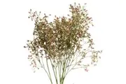 Hill Interiors Wildflower Spray Artificial Flower (Purple/Green) (One Size)