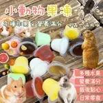 小動物果凍  小動物綜合果凍 小寵物 零食 鼠兔 點心 甲蟲果凍 倉鼠 蜜袋鼯 黃金鼠 甲蟲 獨角仙 小寵物果凍