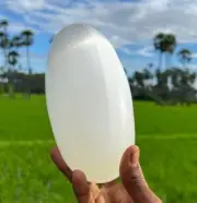 Large Natural Selenite Crystal Lingam Healing Crystals Home Decor 175MM 1.8KG