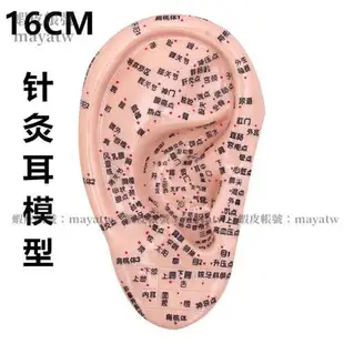 (MD-B_0780)超清晰經絡人體針灸穴位模型針灸耳針穴模型耳模16cm耳朵穴位按摩