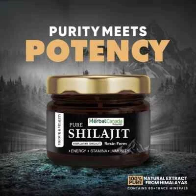 100% Pure Himalayan Shilajit Extremely Potent, Strength, Perform 20gm, Pack of 1