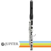Jupiter JPC1100E Performance Level Select Grenadilla Wood Body Piccolo with Case