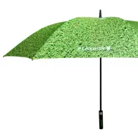 在飛比找Yahoo奇摩購物中心優惠-【PLAYBOY】RA 47010GN大傘面直柄高爾夫球晴雨