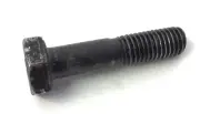 Lifespan Treadmill Activator Mounting Screw M10 X 1.5" X 44mm 511610004500114