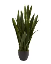 Nearly Natural Sansevieria