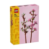 在飛比找蝦皮商城優惠-玩具反斗城 LEGO樂高 櫻花 40725