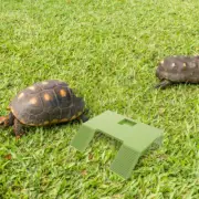 Turtle Platform Floating Basking Tortoise Habitat Accessories Aquarium