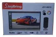 SJoyBring Joy-W019 Double Din Stereo CarPlay Bluetooth Touch Screen NO DASHCAM