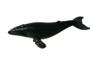 Learning Resources HUMPBACK WHALE Ocean Sea Animal Toy Figure Cake Topper