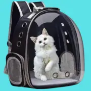 Cat Pet Carrier Backpack Transparent Capsule
