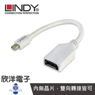 LINDY 轉接器 MINI DISPLAYPORT 公 TO DISPLAYPORT 母 轉接器 20公分 41021