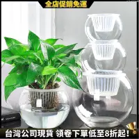 在飛比找蝦皮購物優惠-【桃園出貨免運】 大口徑定植籃 10個裝 水耕花器/ 定植杯