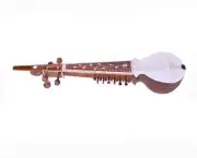 Punjabi Rubab – Perfect Instrument for Devotional and Classical Music