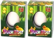 Lot of 2 - Hatch Duck Eggs Grow Toy - QUANTITY DISCOUNTS - FREE GIFT