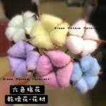 現貨 六色 棉花 乾燥花 花材 彩色棉花 馬卡龍色系 拍照道具 棉花 不凋花 DIY花材 夢的材料館