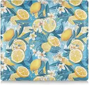 [Amooorous] Blue and Yellow Summer Lemon Premium Leather Auto Registration Insurance & ID Card Holder Auto Truck Comparment Accessories Case for Essential Document, Driver License, Cards, Blue and yellow summer