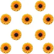 Joyci 10-Pack Women Brooch Lapel Pins Novelty Sunflower Daisy Safety Push Pin Buckle for Shirt Hat Cardigan Sweater Decorate Tie Tacks Pin Back Clutch