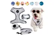 4-PIECE WALKIES BUNDLE [Pipco Pets] - Adjustable Dog Harness + Collar + Lead + Poo Bag Dispenser (Gettin' Ziggy)