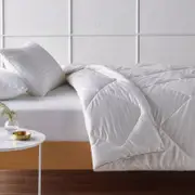 Accessorize Australian Superwash Wool 500GSM Quilt