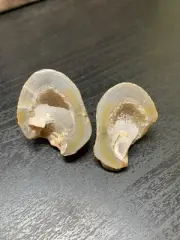 Polished Agate Creek Agate Half’s Geode From North Queensland. 22g