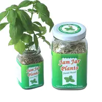 在飛比找PChome24h購物優惠-【迎光】Jam Jar Plants小植栽-甜羅勒