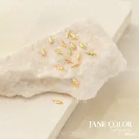 在飛比找蝦皮購物優惠-JANE COLOR 金屬片35005