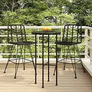 Bar Stools 2 pcs Black 45x56x103.5 cm PE Rattan Steel Modern Furniture Set
