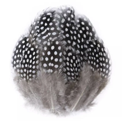 50pcs Natural Black White 4-12cm Guinea Fowl Feathers DIY Art Craft Millinery