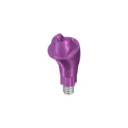 RB/WB SCREW-RETAINED ABUTMENT, ANGLED 17°, Ø 4.6MM, GH 4.5MM, TAN