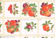 Fruits Tiles Kitchen Vinyl Laminate Contact Paper Shelf Drawer Liner Peel Stick