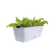 SOGA White Rectangular Flowerpot Vegetable Herb Planters Box Large