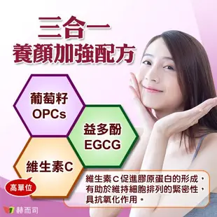 【赫而司】VITA OPC-3養顏素葡萄籽複方(60顆*1罐)前花青素+兒茶素EGCG+維生素C全素食膠囊