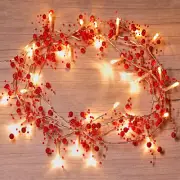 6.6FT 20 LED Christmas String Lights Battery Operated for Christmas Decoration,