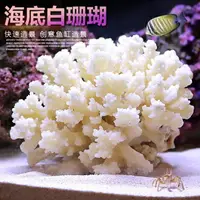 在飛比找樂天市場購物網優惠-魚缸造景白珊瑚水族箱裝飾擺件 年終鉅惠 可開發票