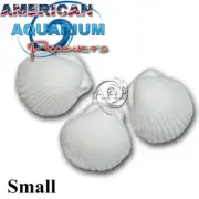 sm Wonder Shell- Aquarium Fish, Snails, Shrimp, Plants Mineral Packs (Fresh)