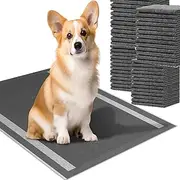 100Count Pet Pee Pad,Activated Carbon Pet Pee Pad- 60x60cm (23'' x 23''), Highly Absorbent, Leak Proof and Fixable,Disposable Urine Pads Can be Used for Cats and Puppy