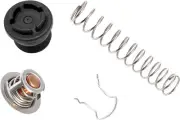 For Pentair 77707-0010 HDThermal Regulator Replacement Kit Pool & Spa Heater ARU