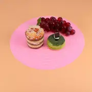 Wire Rack Baking Tray Transparent Food Mat Cake Pan Dinner Mats Dish