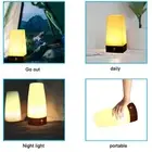 Portable Battery Night Light with Motion Sensor for Home Use