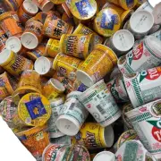 NISSIN Cup Noodle Variety Assort Pack - 30 cups with 20 Random Japanese flavors